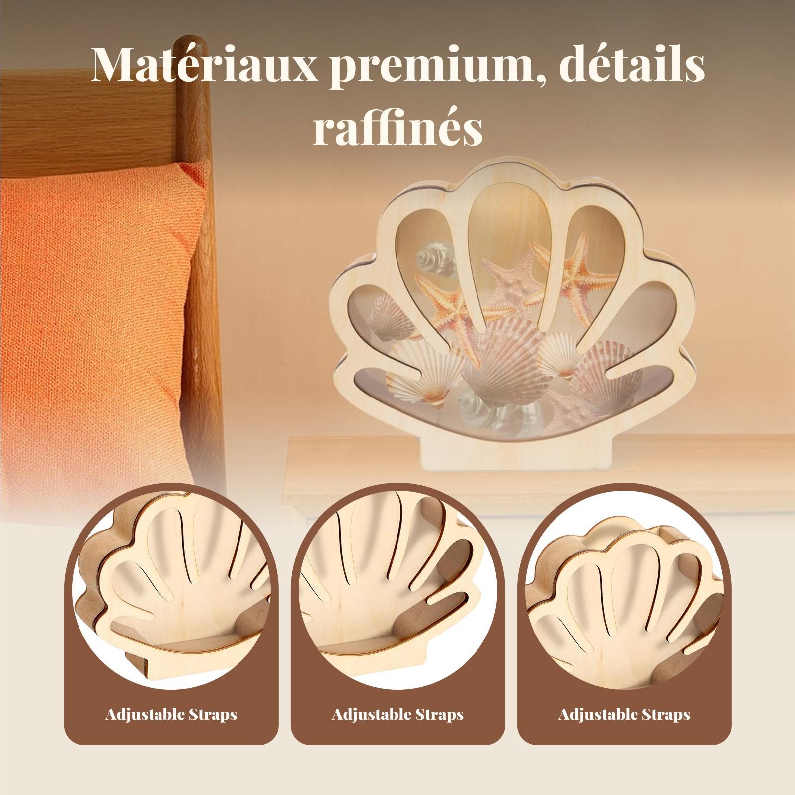 Wooden Shell Display Box Colle - Collectors Coins Jewelry & Watches Of Smithtown Photos ulasan dan harga